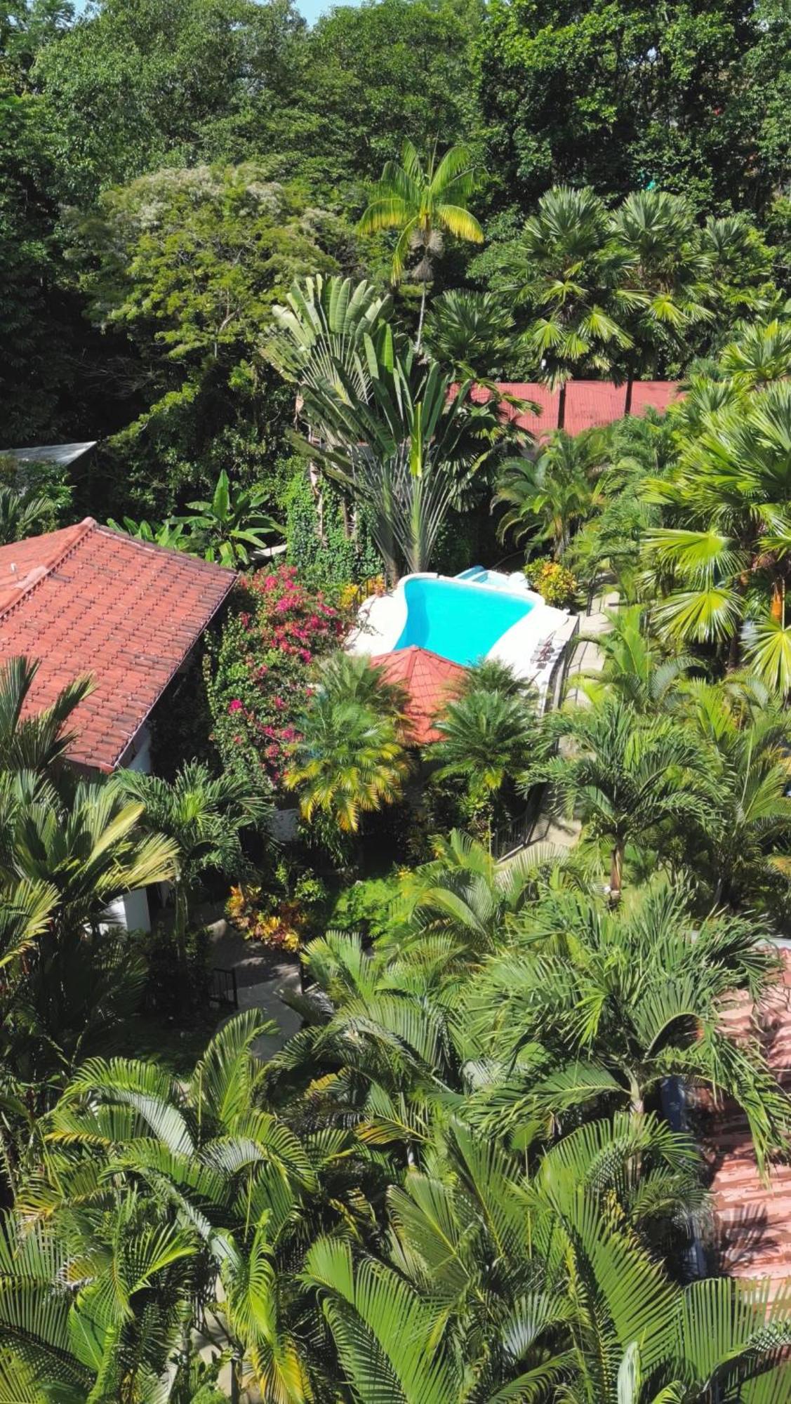 The Scarlet Villas Ojochal Εξωτερικό φωτογραφία